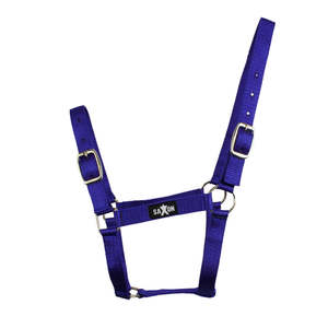 Horse Halters: Saxon Economy Headcollar Halter