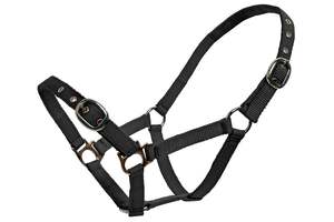 Horse Halters: Blue Tag Web Halters Small Sizes