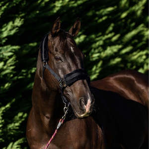 Flair Plush Fleece Lined Halter