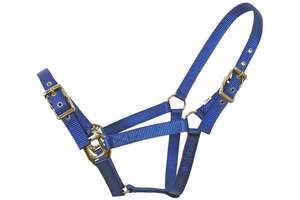 Horse Halters: Flair Heavy Duty Nylon Web Halter
