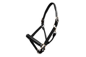 Horse Halters: Platinum Leather Show Halter