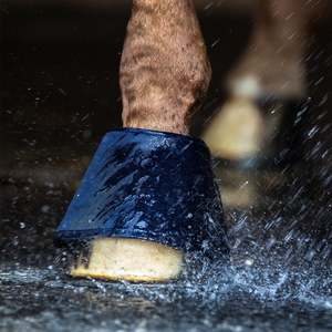 Horse Boots: Waldhausen Water Bell Boots