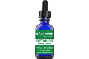 BetaVet Betabird