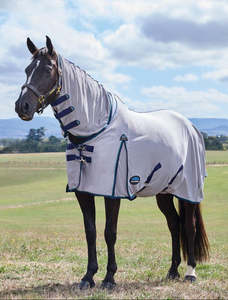 Weatherbeeta ComFiTec Zephyr Fly Sheet Combo