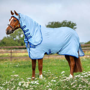 Fly Protection For Horses: Amigo Pony Ripstop Hoody