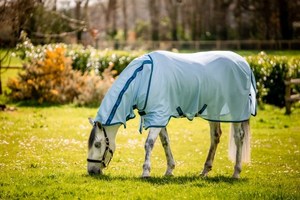 Fly Protection For Horses: Amigo Bug Rug Detach-A-Neck