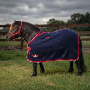 Fleece: Zilco Mini Stadium Wool Rug