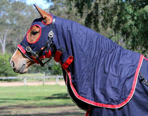Zilco Stadium Wool Hood