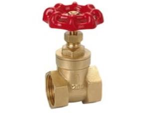 Accessories: Gate Valves