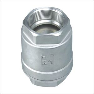Accessories: Stainless Steel Check Valve