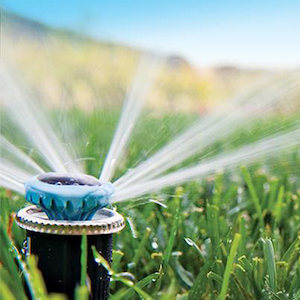 Irrigation: MP Rotator Nozzle