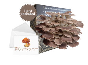 Mushroom Kits: 2026 Father's Day Gift - Italian Oyster Mushroom Kit