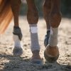 Products: Incrediwear Equine Circulation Bandages