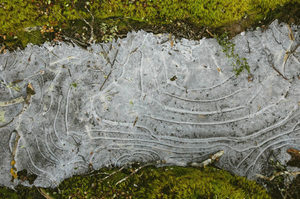 Products: Trail ice - Occasional Climber