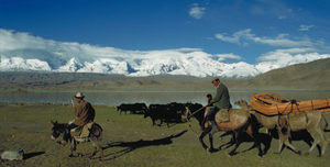 China - 06 - Occasional Climber
