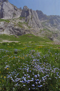 Europe - 02 - Occasional Climber