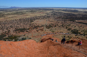 Products: Red Centre - 11 - Occasional Climber