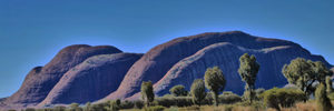 Products: Red Centre - 12 - Occasional Climber