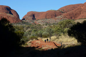 Red Centre - 16 - Occasional Climber