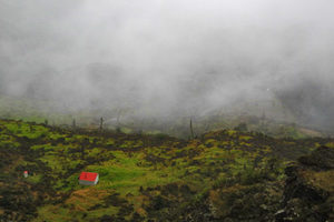 Products: Mt Hikurangi 2014 - 04 - Occasional Climber