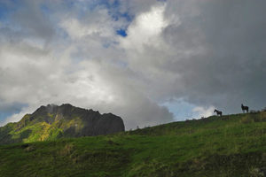 Products: Mt Hikurangi 2014 - 07 - Occasional Climber