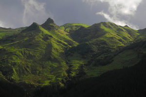 Products: Mt Hikurangi 2014 - 08 - Occasional Climber