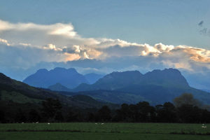 Products: Mt Hikurangi 2014 - 10 - Occasional Climber