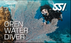 Products: SSI OPEN WATER Oceans Alive
