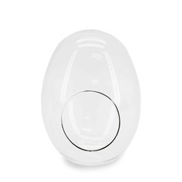 Products: Glass Egg Shape Terrarium 18Diax25Hcm - Clear Oceans Floral