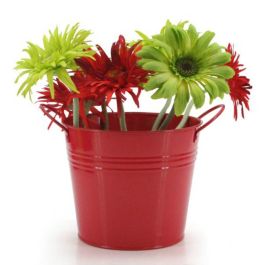 Products: Tin Round Bucket w/Ear Handles Medium/Long 18TDx14BDx15.5Hcm - Red (04-13-LARGE) Oceans Floral