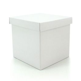 Products: Cube Gift Box w/Lid 24Sqx24Hcm Pk/10 Oceans Floral