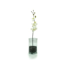 Glass Cylinder Vase 15Diax25Hcm - Clear (02-CYL25) Oceans Floral