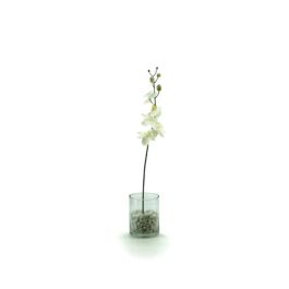 Glass Cylinder Vase 13Diax16Hcm - Clear (02-CYL16) Oceans Floral