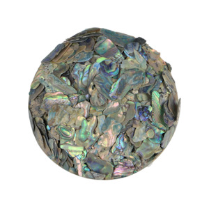SHELL TERRAZZO CHIP - PAUA - 8-12MM
