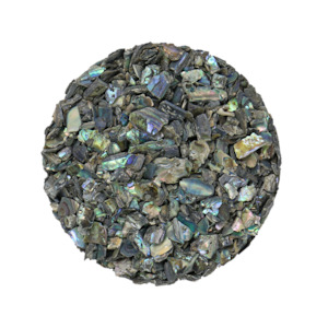 SHELL TERRAZZO CHIP - PAUA RIMS