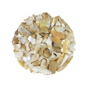 Products: SHELL PIECES MOP SATIN FINES