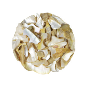 Products: SHELL PIECES MOP SATIN SMALL