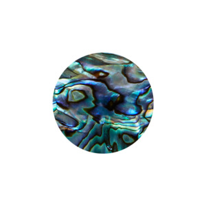 SHELL VENEER SHAPE - PAUA - CIRCLE