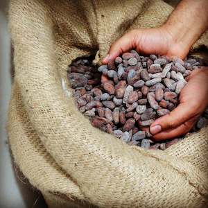 Bulk: Raw Cacao Beans 1kg