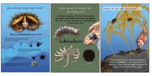 Products: Kōrero with a Kina