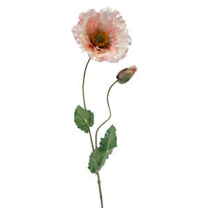 Foliage: Poppy with Bud Peach