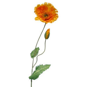 Foliage: Poppy with Bud Tangerine