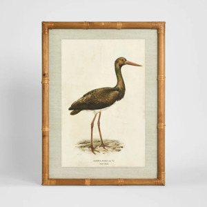 100 250: Heron Study A Wall Art