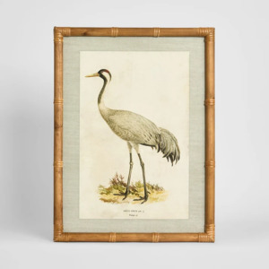 100 250: Heron Study B Wall Art