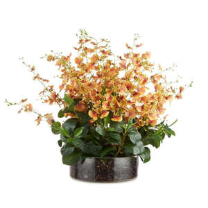 Homeware: Large Dancing Orchid in Glass Pot - Orange