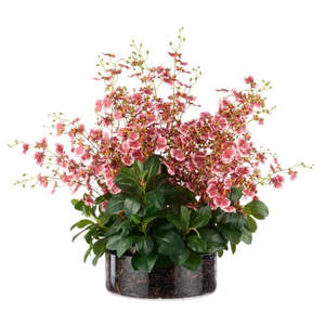 Large Dancing Orchid in Glass Pot - Pink