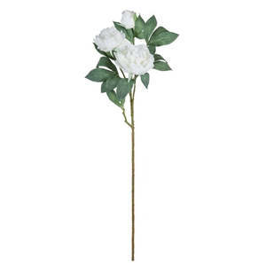 Homeware: Peony Stem - White