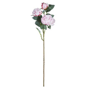 Homeware: Peony Stem - Light Pink