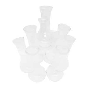 Vases: 10 piece Test Tube Vase