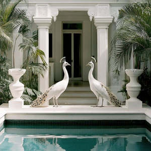 Blanca Birds 700 x 700